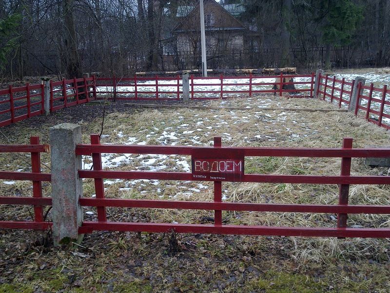 Прикольные картинки (146 фото)