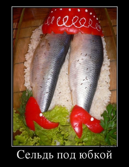 Прикольные картинки (146 фото)