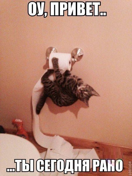 Прикольные картинки (146 фото)