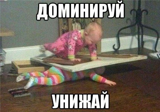 Прикольные картинки (146 фото)