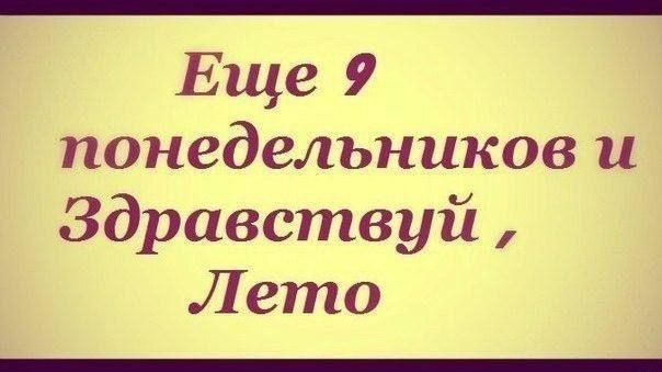 Прикольные картинки (146 фото)