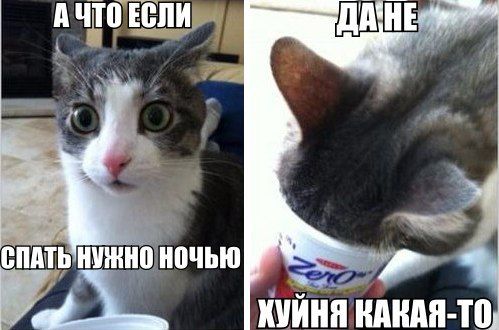 Прикольные картинки (146 фото)