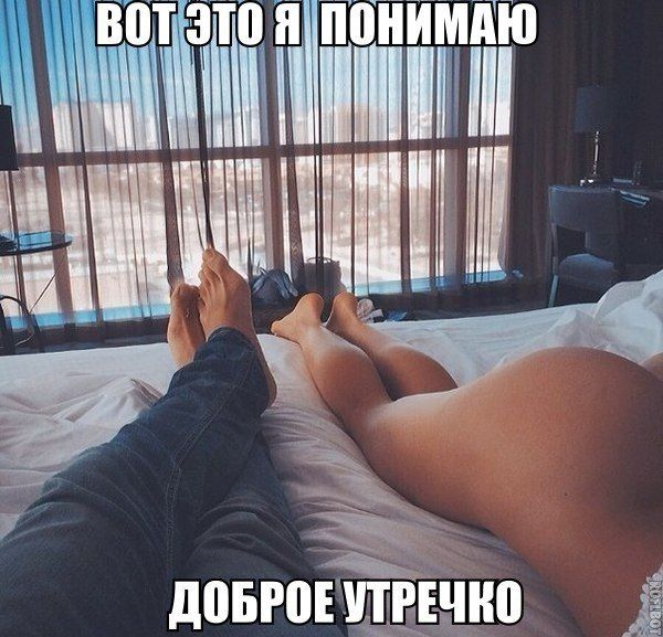 Прикольные картинки (146 фото)