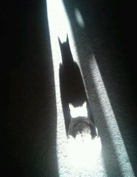 Прикольные картинки (146 фото)