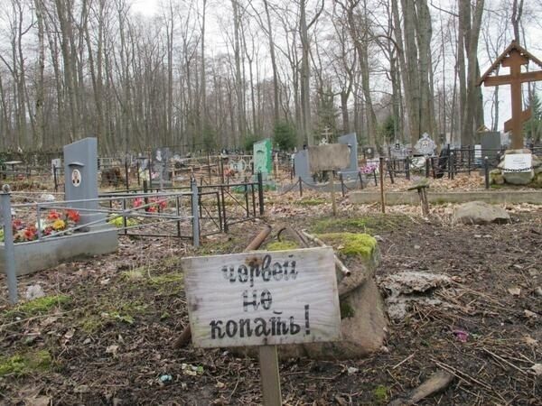 Прикольные картинки (146 фото)