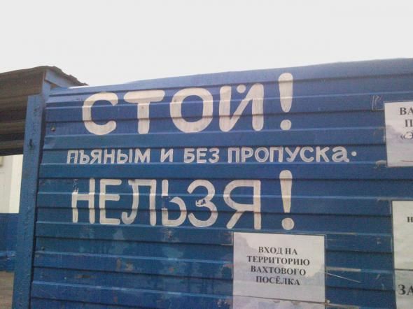 Прикольные картинки (146 фото)