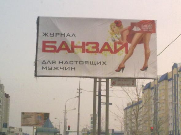 Прикольные картинки (146 фото)