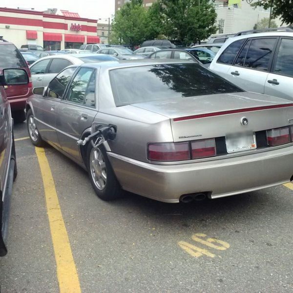 Прикольные картинки (146 фото)