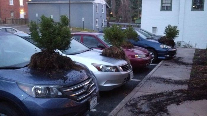 Прикольные картинки (146 фото)