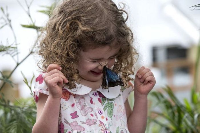 Прикольные картинки (146 фото)