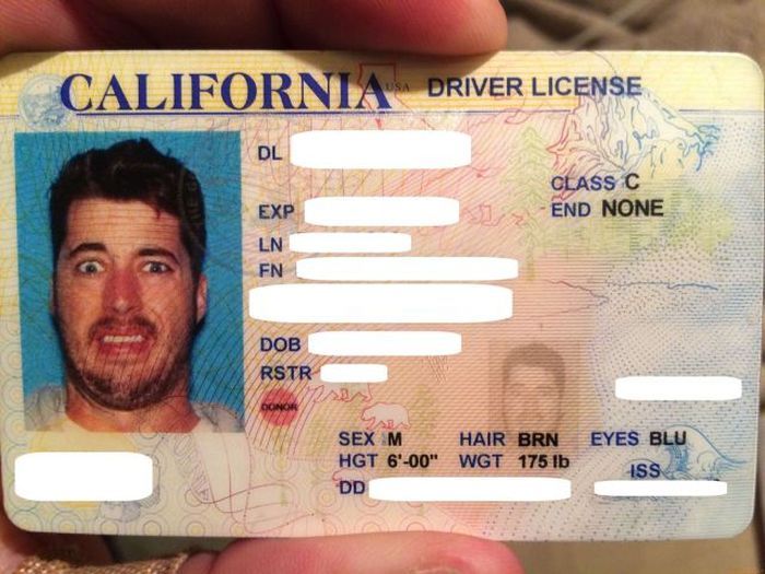 Прикольные картинки (146 фото)