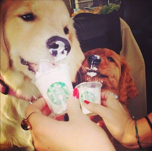 Прикольные картинки (146 фото)