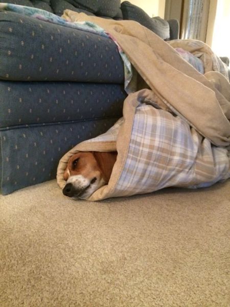 Прикольные картинки (146 фото)