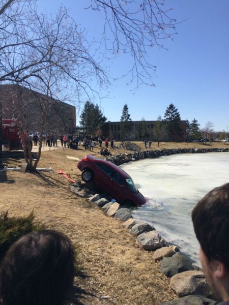 Прикольные картинки (146 фото)