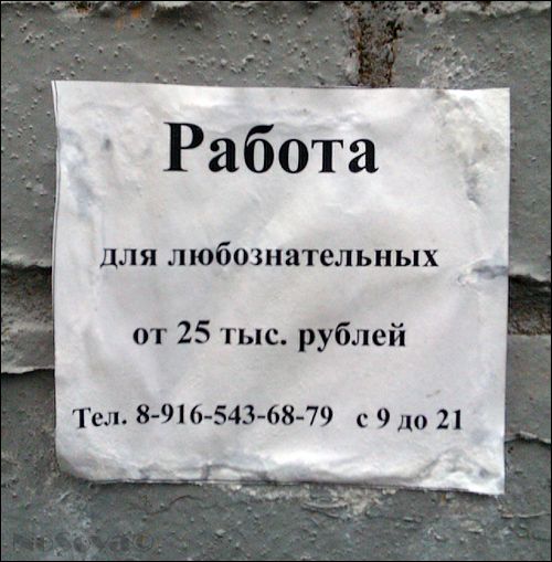 Прикольные картинки (146 фото)