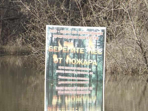 Прикольные картинки (146 фото)