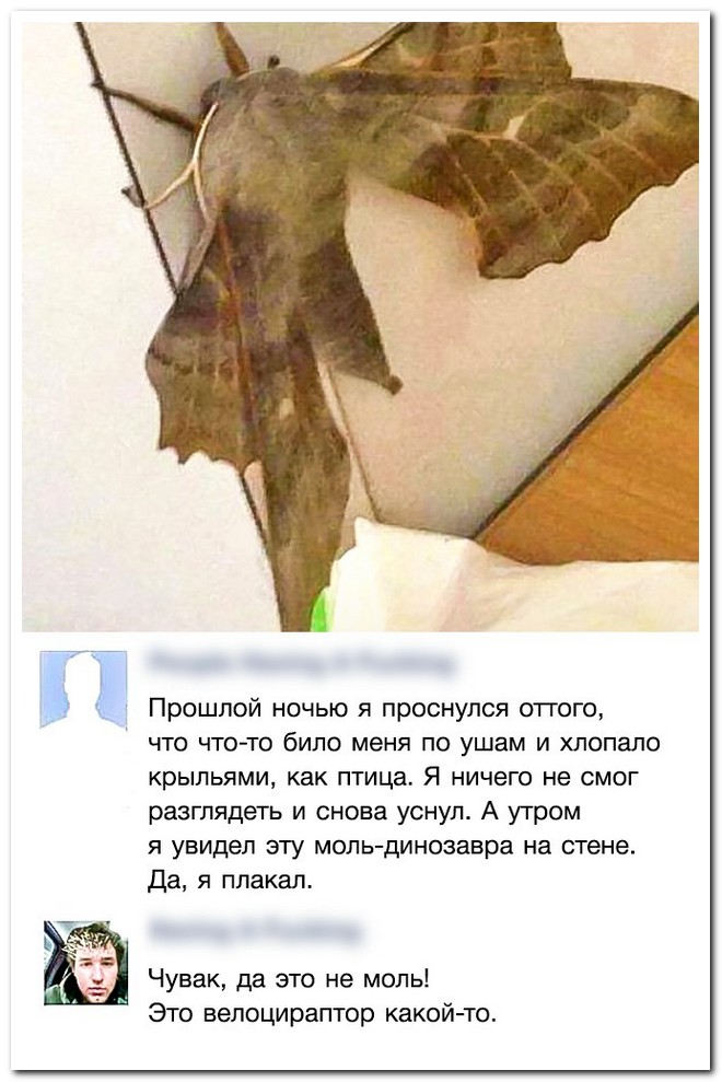 Забавные комментарии из социальных сетей