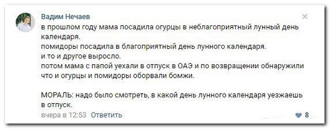 Забавные комментарии из социальных сетей