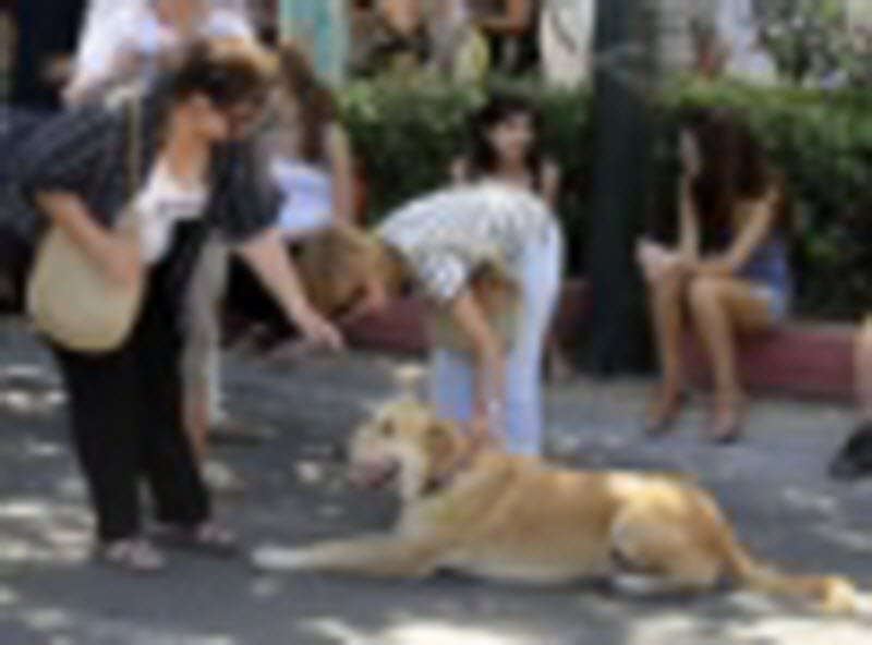 Обнаженный отдых