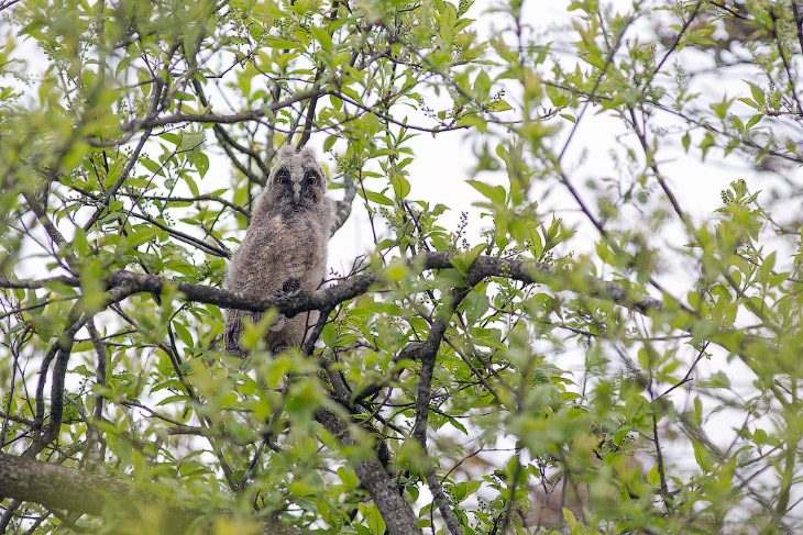 Страх и трепет