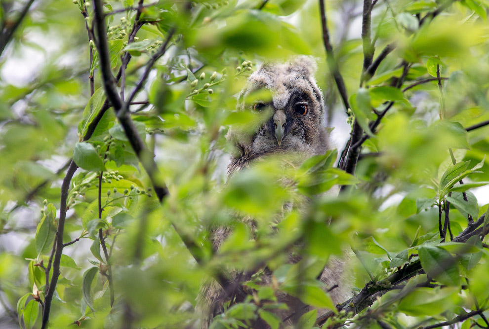 Страх и трепет