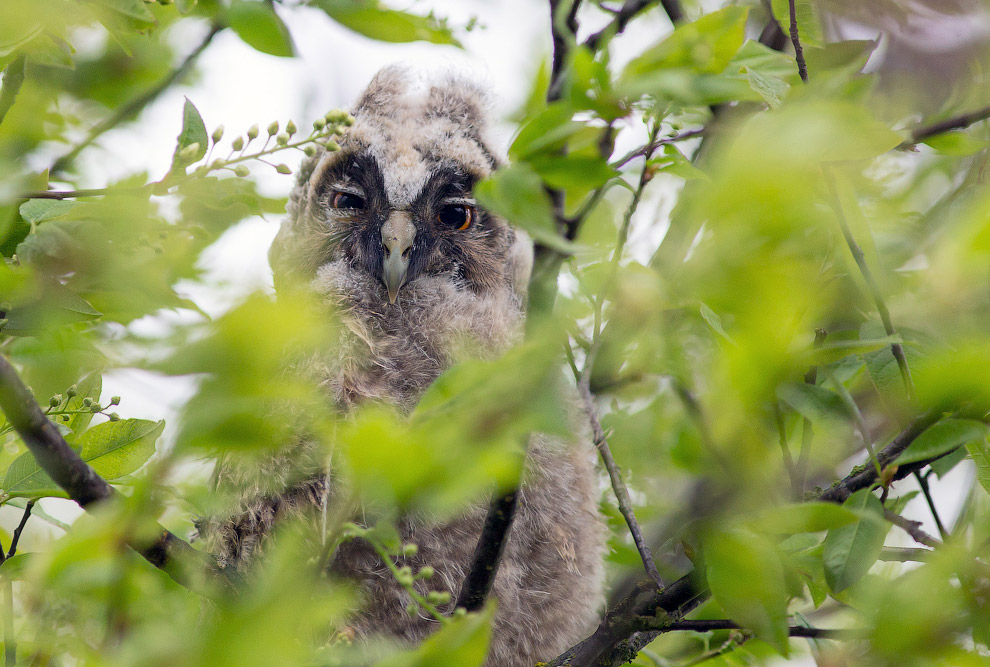 Страх и трепет