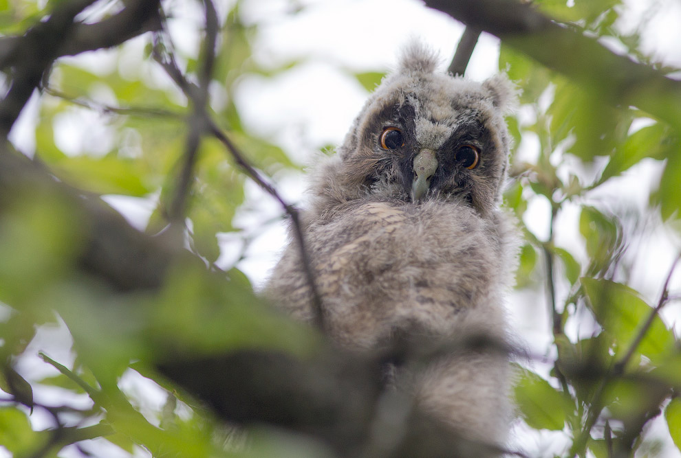 Страх и трепет
