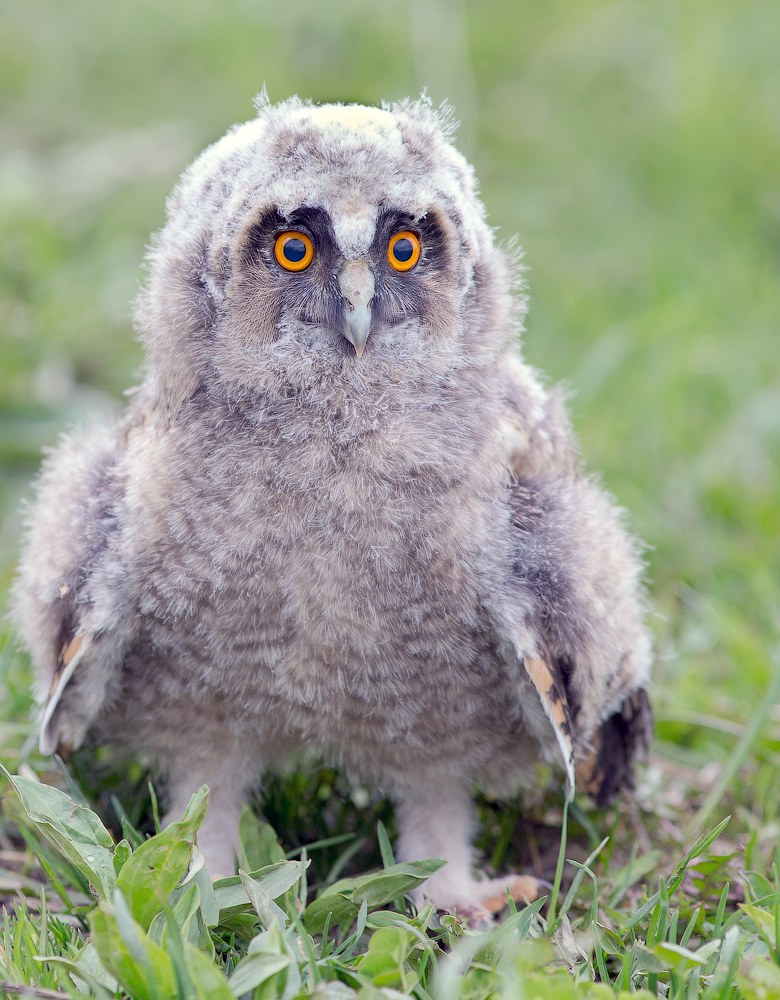 Страх и трепет