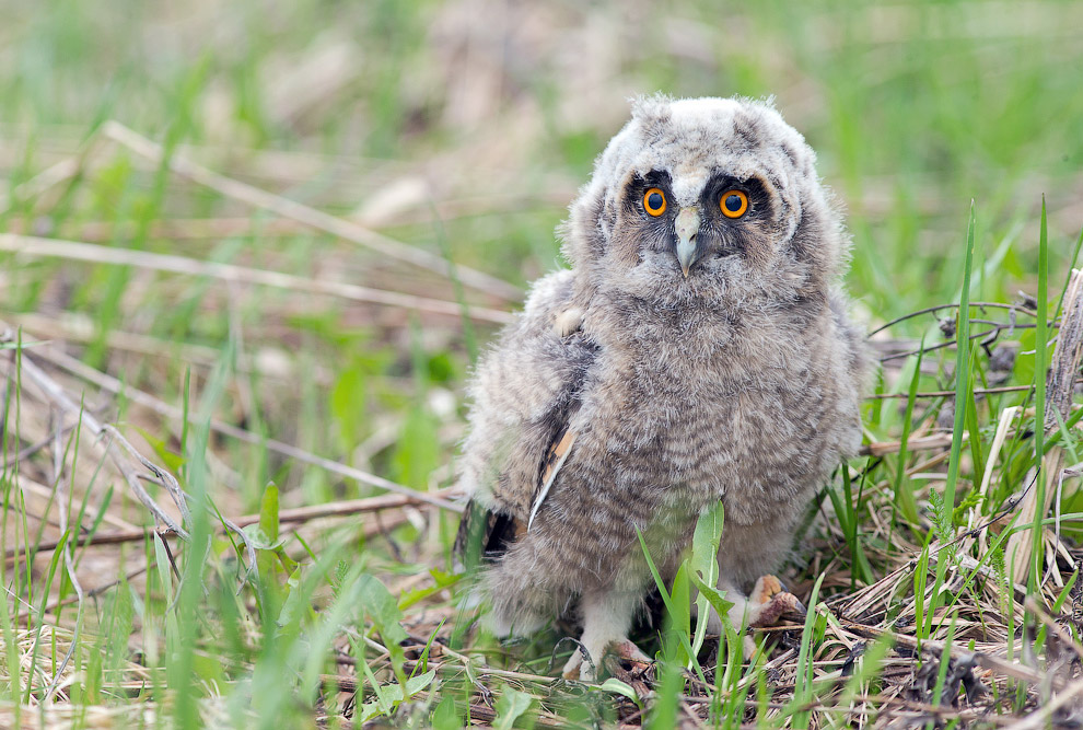 Страх и трепет
