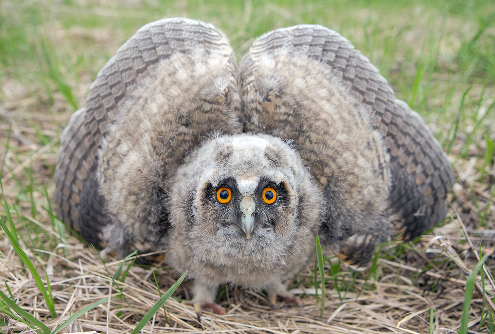 Страх и трепет