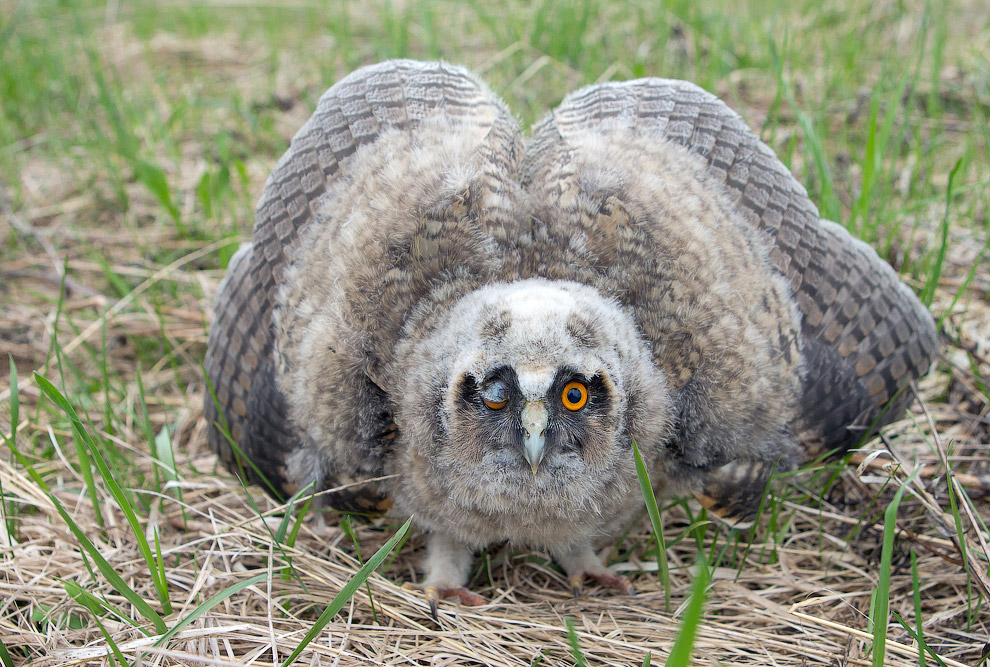 Страх и трепет