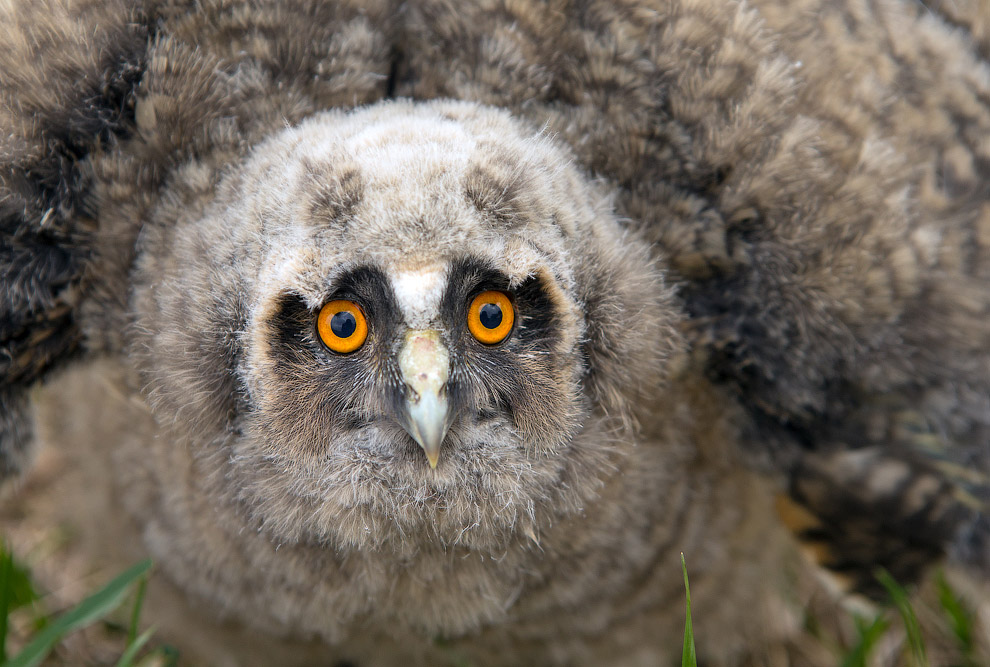 Страх и трепет