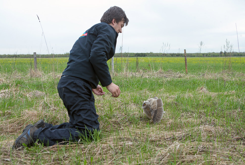 Страх и трепет