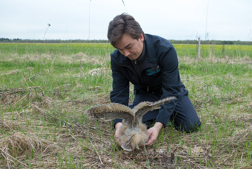 Страх и трепет