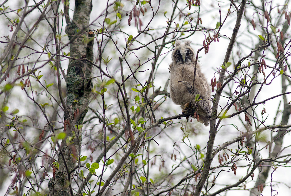 Страх и трепет