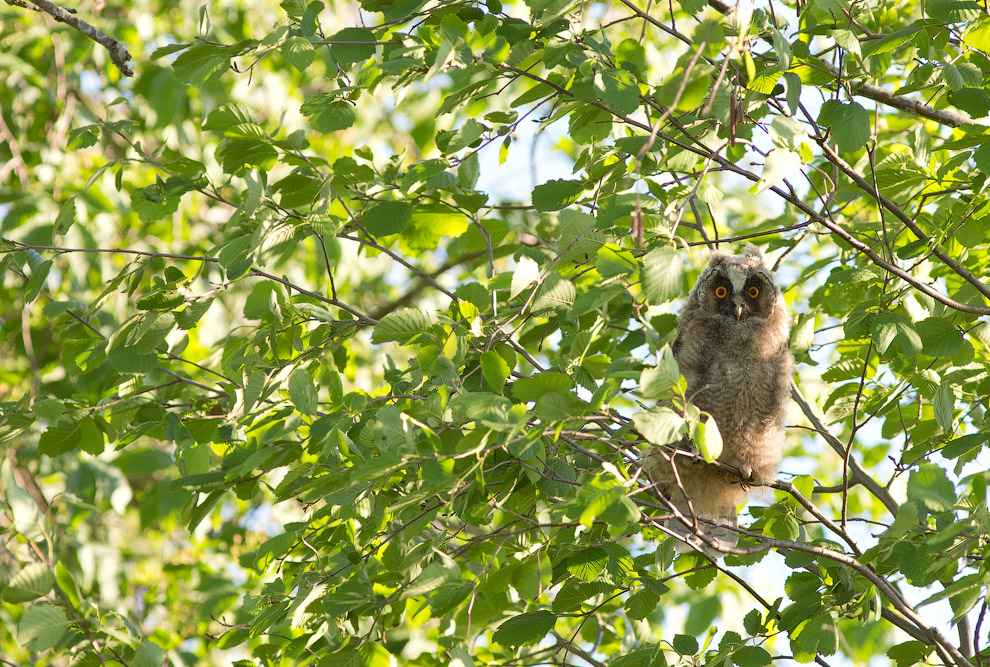 Страх и трепет