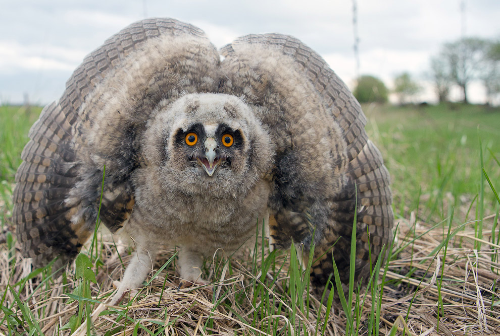 Страх и трепет