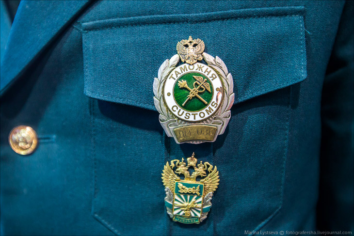 Как работает таможня в Домодедово Как работает таможня в Домодедово