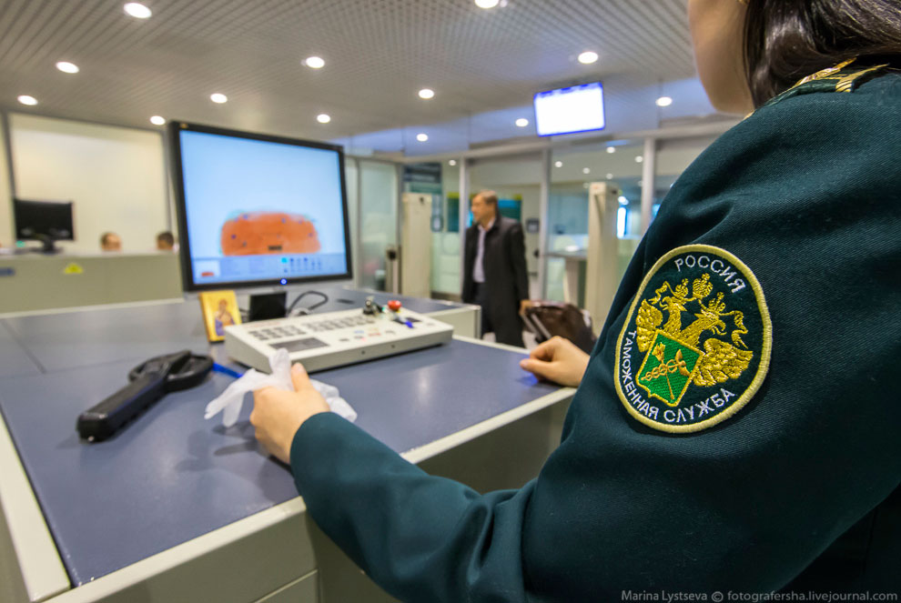 Как работает таможня в Домодедово Как работает таможня в Домодедово