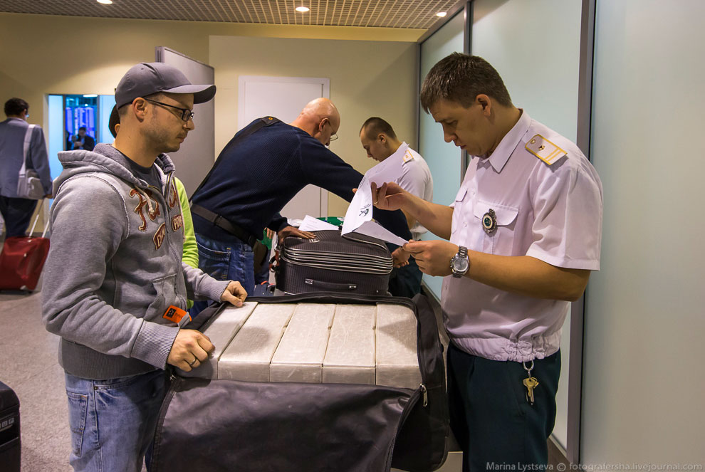 Как работает таможня в Домодедово Как работает таможня в Домодедово