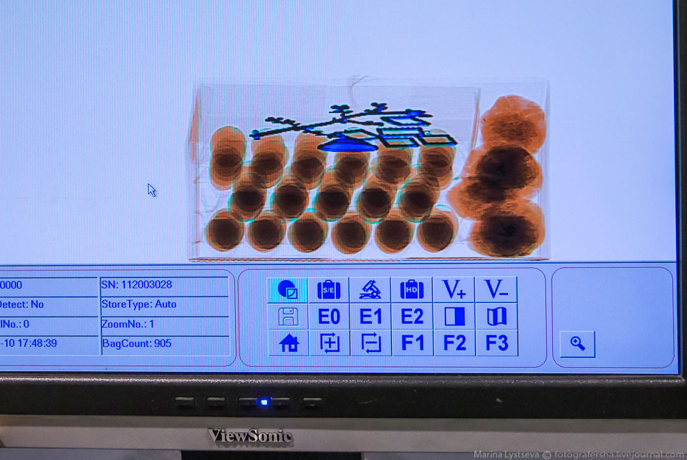 Как работает таможня в Домодедово Как работает таможня в Домодедово