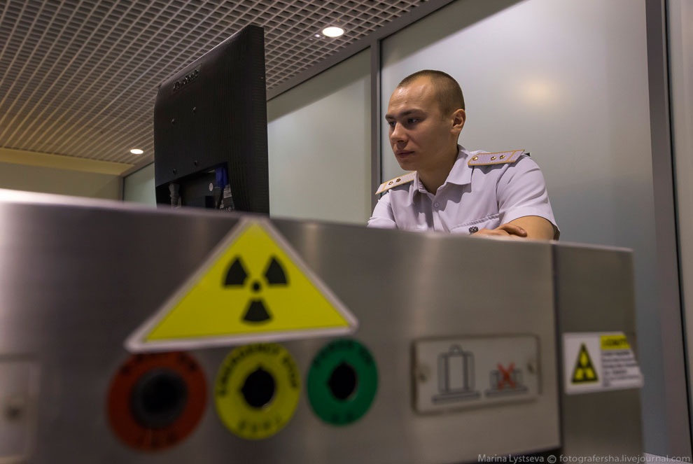 Как работает таможня в Домодедово Как работает таможня в Домодедово