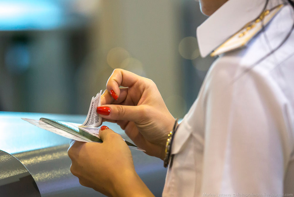 Как работает таможня в Домодедово Как работает таможня в Домодедово