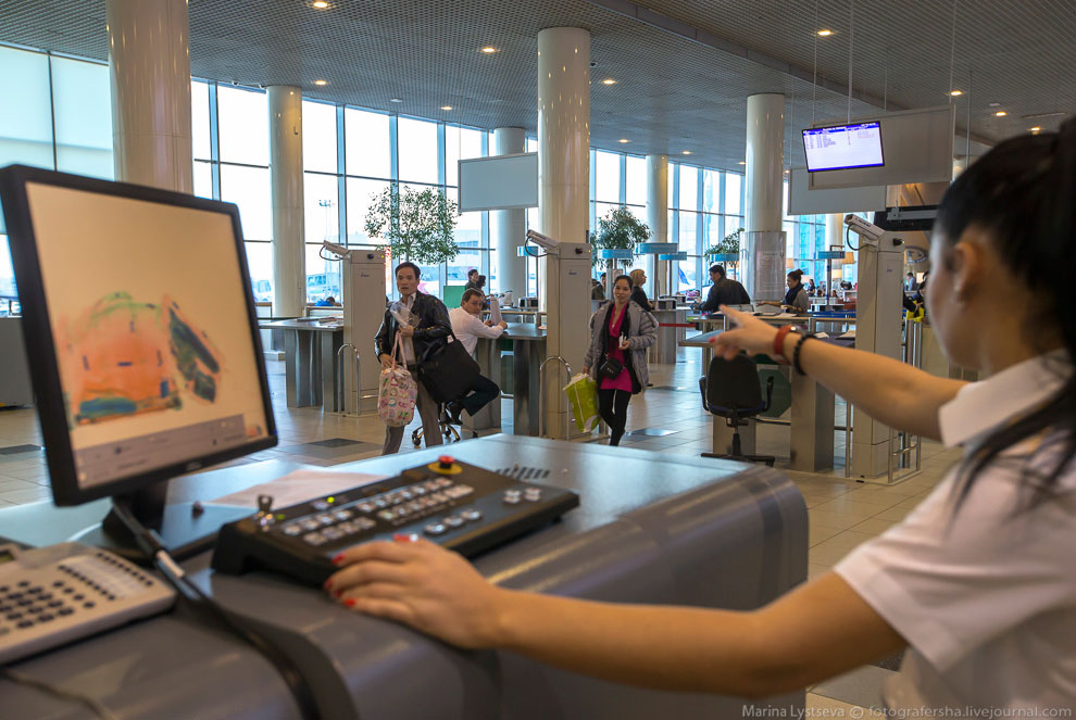 Как работает таможня в Домодедово Как работает таможня в Домодедово