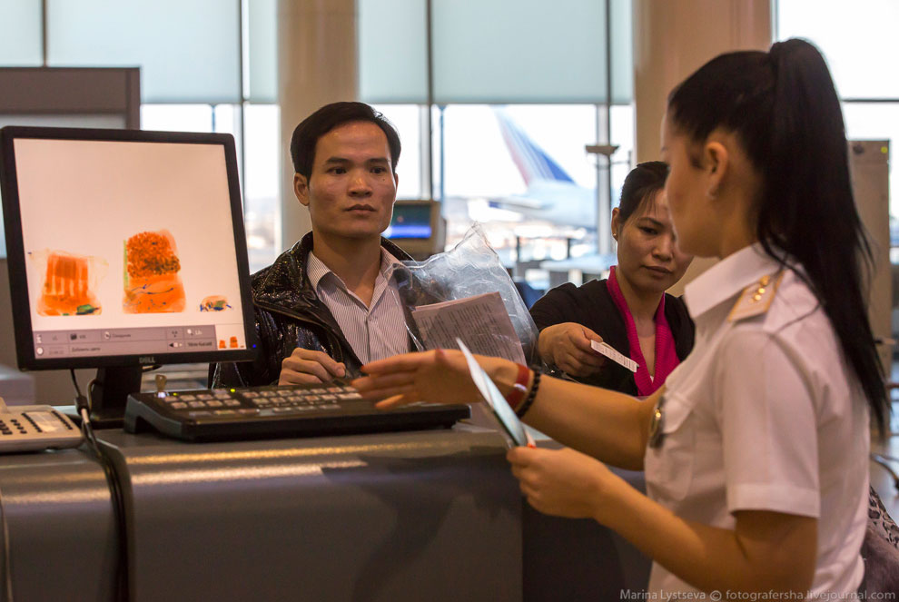 Как работает таможня в Домодедово Как работает таможня в Домодедово