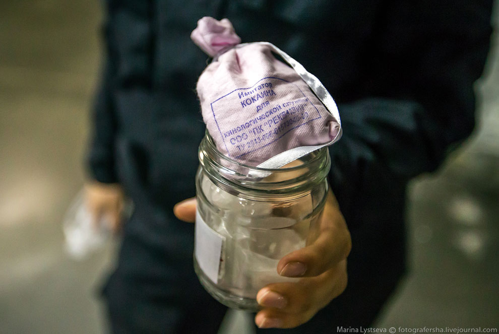 Как работает таможня в Домодедово Как работает таможня в Домодедово