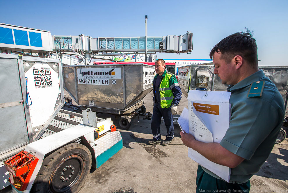 Как работает таможня в Домодедово Как работает таможня в Домодедово