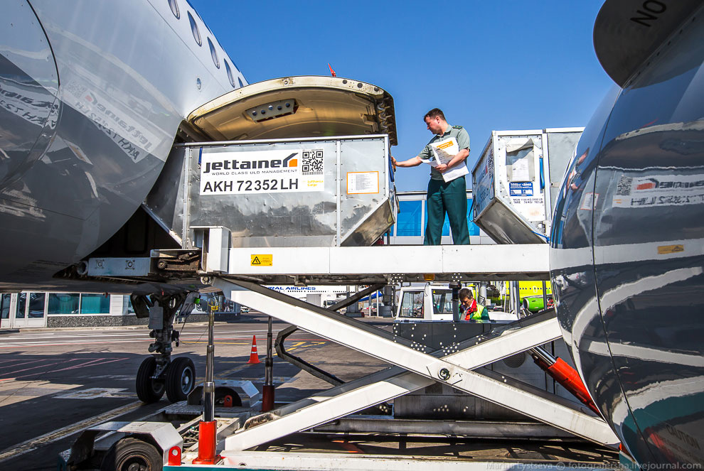 Как работает таможня в Домодедово Как работает таможня в Домодедово