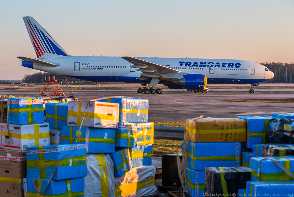 Как работает таможня в Домодедово Как работает таможня в Домодедово