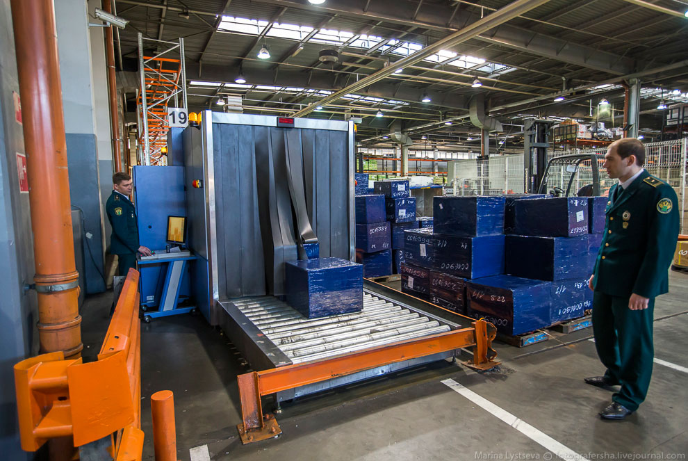 Как работает таможня в Домодедово Как работает таможня в Домодедово